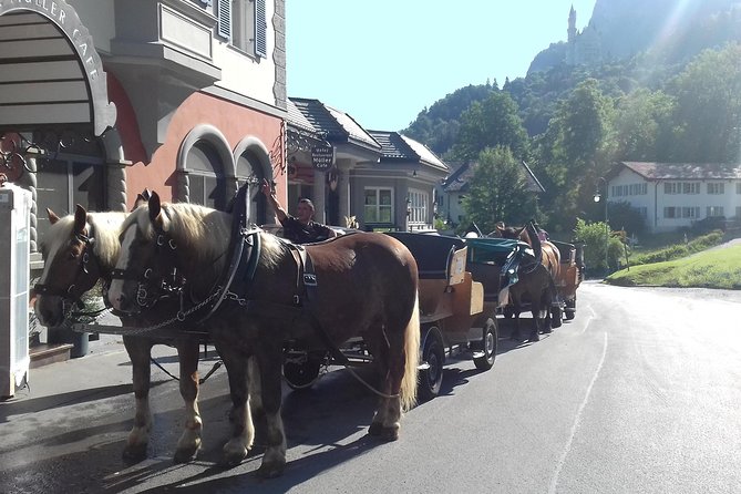 Neuschwanstein and Hohenschwangau Exclusive Skip-the-Crowds Tour - Plansee and optional outdoor activities