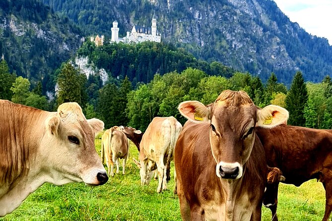 Neuschwanstein Castle, Ettal Abbey and Oberammergau Private Tour from Munich - Ettal Abbey: beauty in a short visit