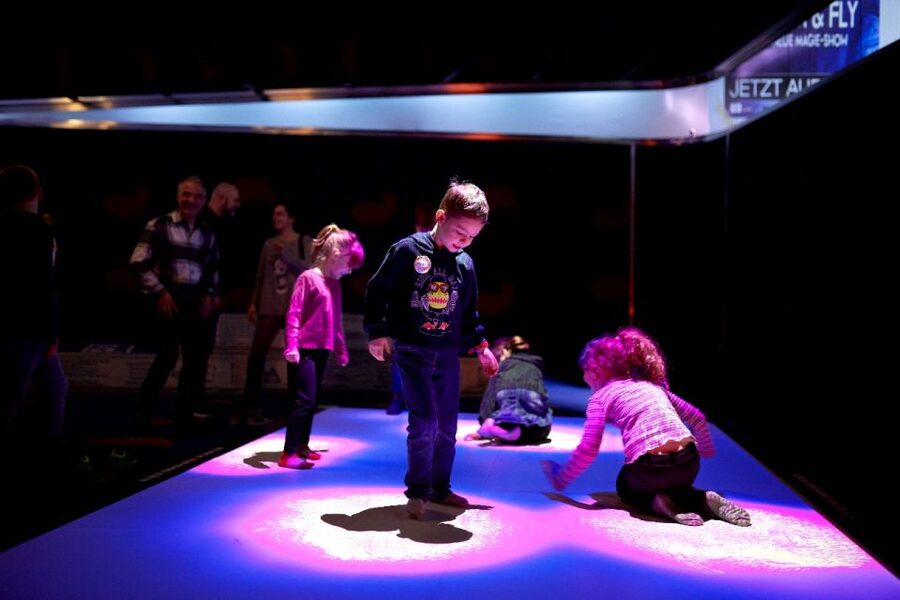 Oberhausen: HOUSE OF MAGIC - powered by Ehrlich Brothers - Is $29 a fair price?