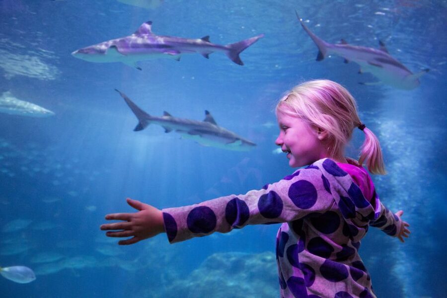Oberhausen: LEGOLAND Discovery Centre and SEA LIFE Ticket - How long should you allow?