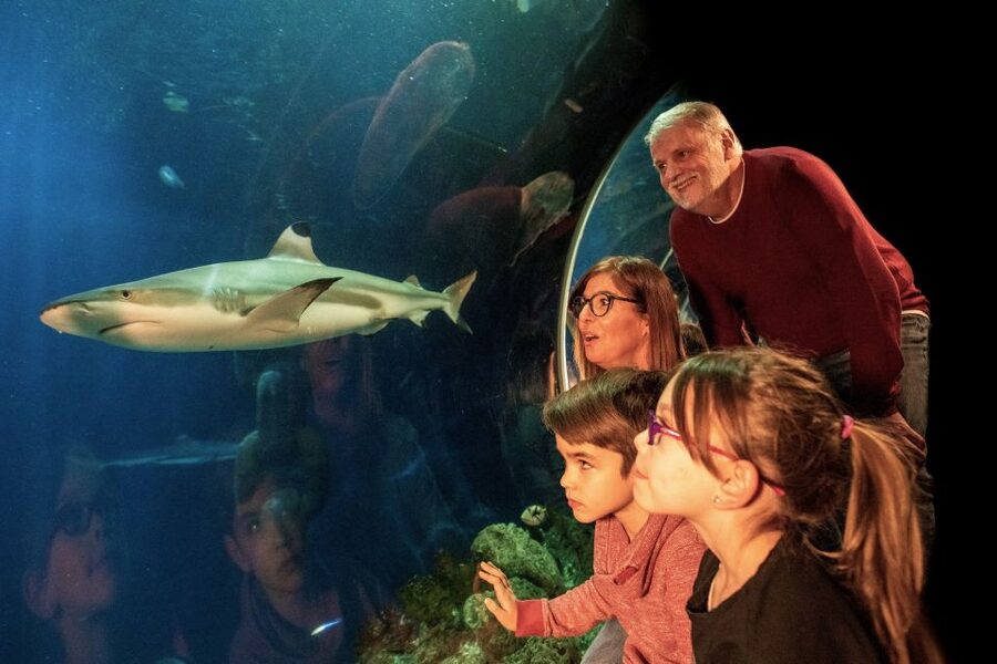 Oberhausen: LEGOLAND Discovery Centre and SEA LIFE Ticket - Rides and the 4D cinema