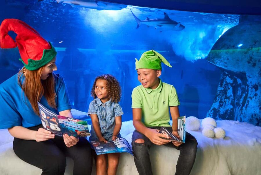 Oberhausen: SEA LIFE Oberhausen Entry Ticket - Feeding shows bring the tanks to life