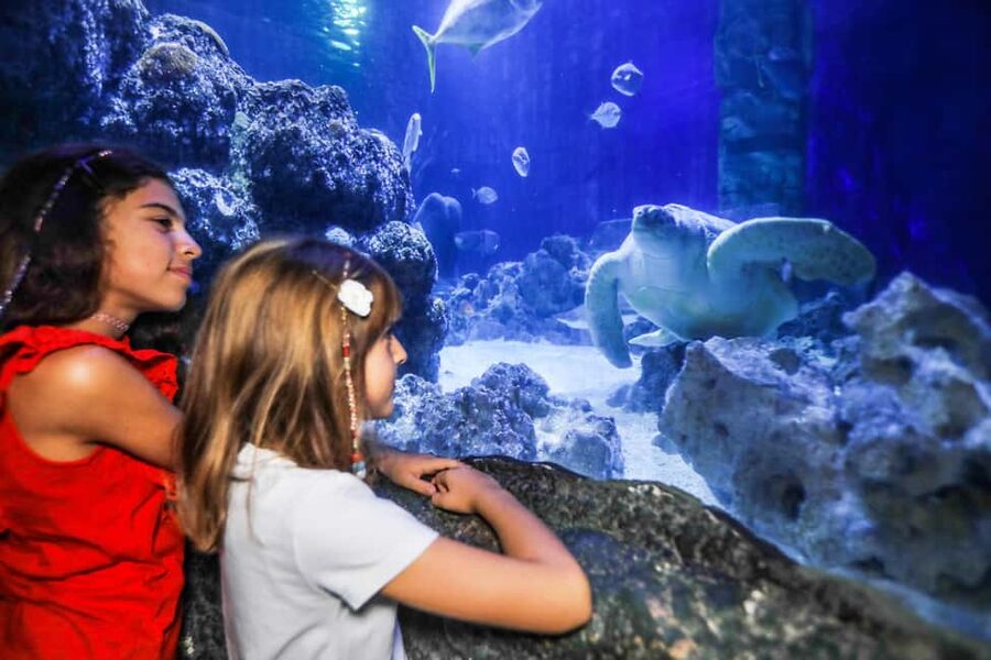 Oberhausen: SEA LIFE Oberhausen Entry Ticket - From Rhine wildlife to tropical waters