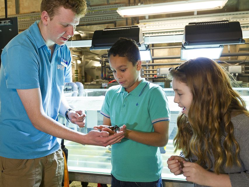 Oberhausen: SEA LIFE Ticket and Behind the Scenes Tour - Preparing Food and Feeding the Animals