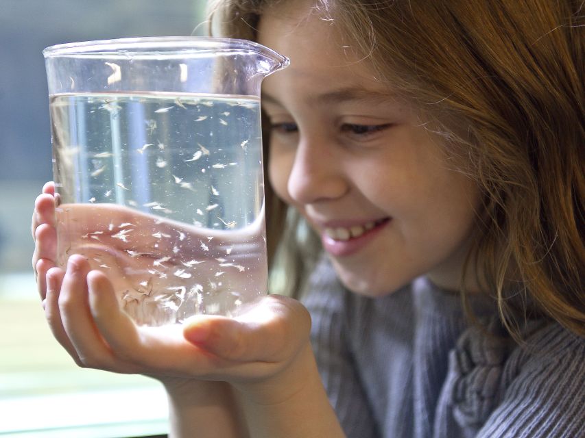 Oberhausen: SEA LIFE Ticket and Behind the Scenes Tour - Inside the Feed Kitchen and Laboratory