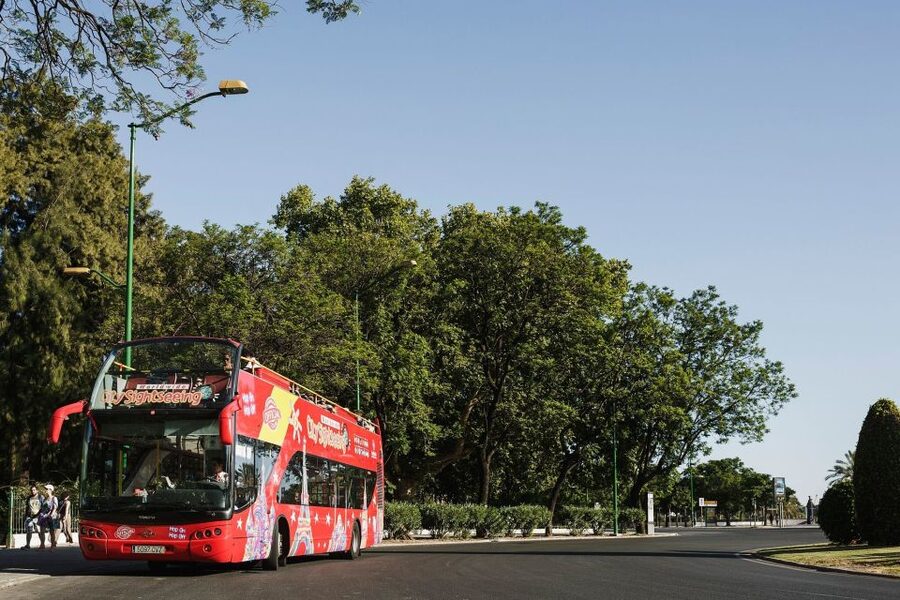 Potsdam: City Sightseeing Hop-On Hop-Off Bus Tour - Barberini, the main station, and Potsdam’s practical side