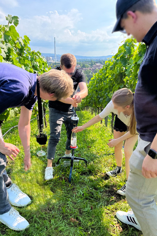 Premium wine hike Stuttgart with games and winemaker's snack - Value, Flexibility, and What To Bring