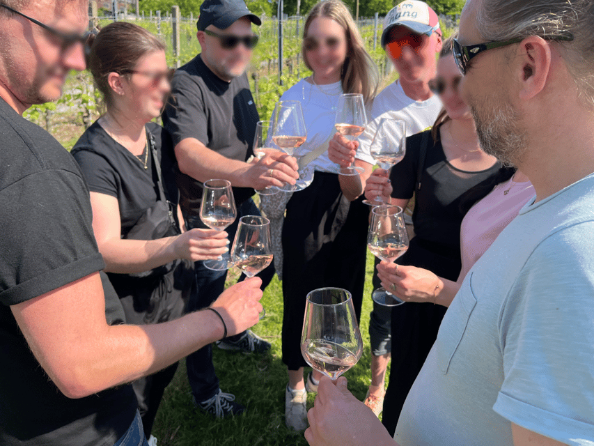 Premium wine hike Stuttgart with games and winemaker's snack - Five Wines, Explained Along the Way