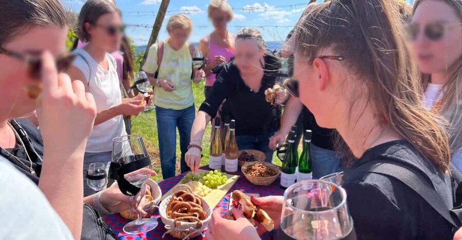 Premium wine hike Stuttgart with games and winemaker's snack - Weather, Shade, and Seasonal Comfort