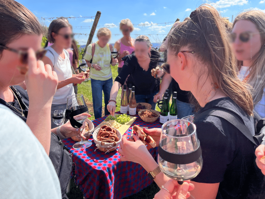 Premium wine hike Stuttgart with games and winemaker's snack - Walking Through Stuttgart’s Wine Country