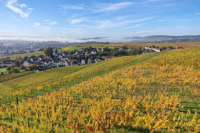 Private day trip to the Romantic Rhine Valley with river cruise and wine tasting - Kloster Eberbach, where wine and monastic life meet
