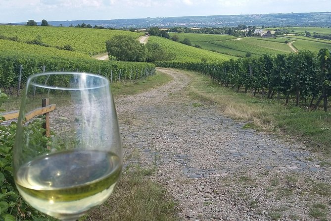 Private day trip to the Romantic Rhine Valley with river cruise and wine tasting - Burg Rheinfels and the scale of Rhine fortifications