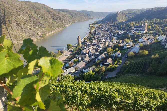 Private day trip to the Romantic Rhine Valley with river cruise and wine tasting - Oberwesel wine tasting and a real cellar visit