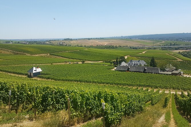 Private day trip to the Romantic Rhine Valley with river cruise and wine tasting - Bacharach and Stahleck Castle