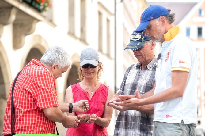 Private Munich Old Town and Third Reich Walking Tour - Marienplatz, Munich’s grand opening scene