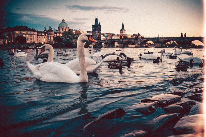 Private Transfer from Berlin to Prague with 2h of Sightseeing - Vehicle choices and luggage limits