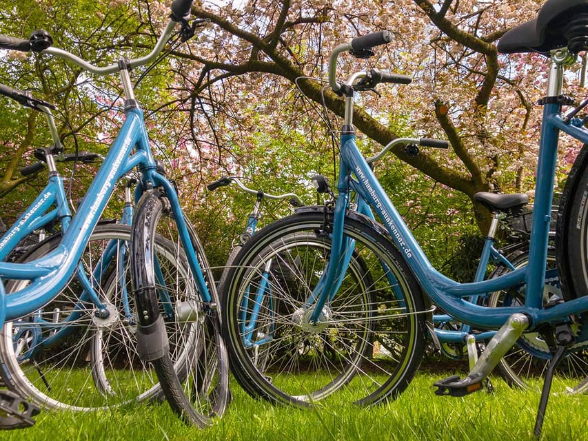 Radtour um die Alster & durch traumhafte Alsterviertel - Key points to know before you book