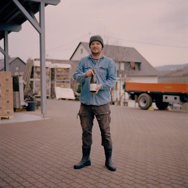 Reil, Mosel: Guided organic wine tasting and cellar tour - Why this small Reil winery is worth your time