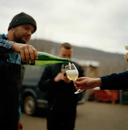 Reil, Mosel: Guided organic wine tasting and cellar tour - The first hour among organic vines