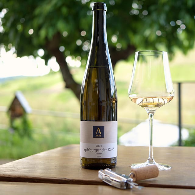 Reil, Mosel: Guided organic wine tasting and cellar tour - Inside the modern cellar at Weingut Arns