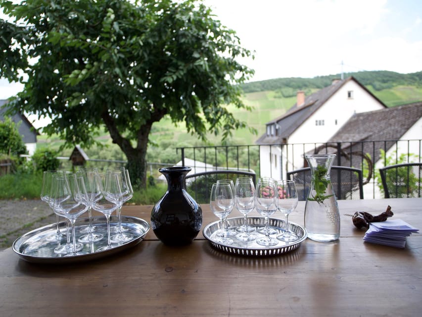 Reil, Mosel: Guided organic wine tasting and cellar tour - The personal touch from Alexander and the Arns family