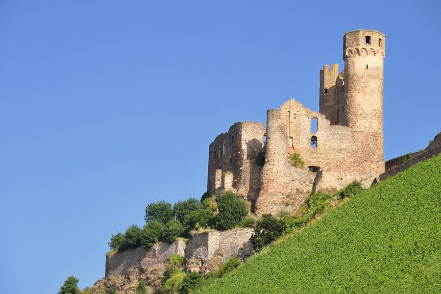 Rhine Valley Castles: 1.5-Hour Boat Tour from Rüdesheim - Is $19 a fair price?