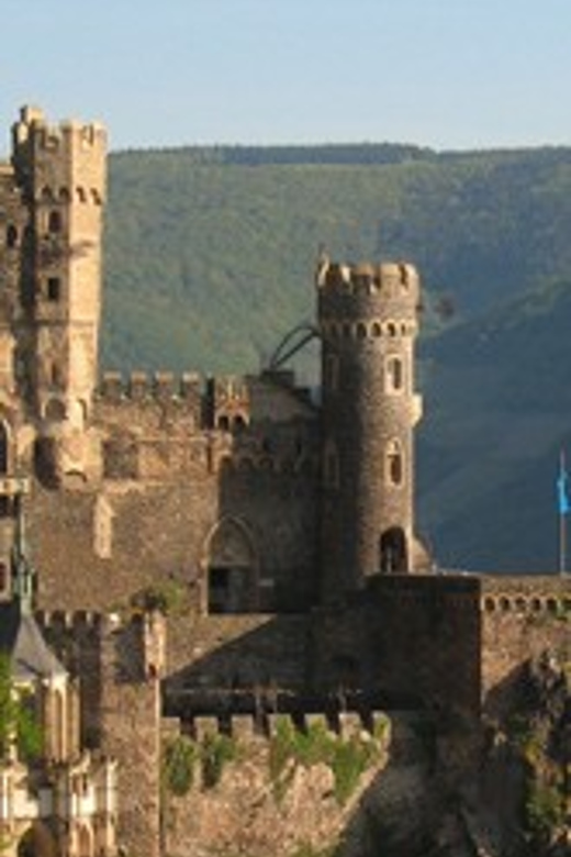 Rhine Valley Castles: 1.5-Hour Boat Tour from Rüdesheim - Why this Rhine cruise is worth considering