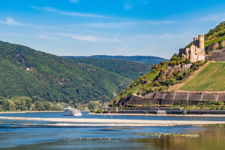 Rhine Valley Castles: 1.5-Hour Boat Tour from Rüdesheim - What the 105 minutes feel like onboard