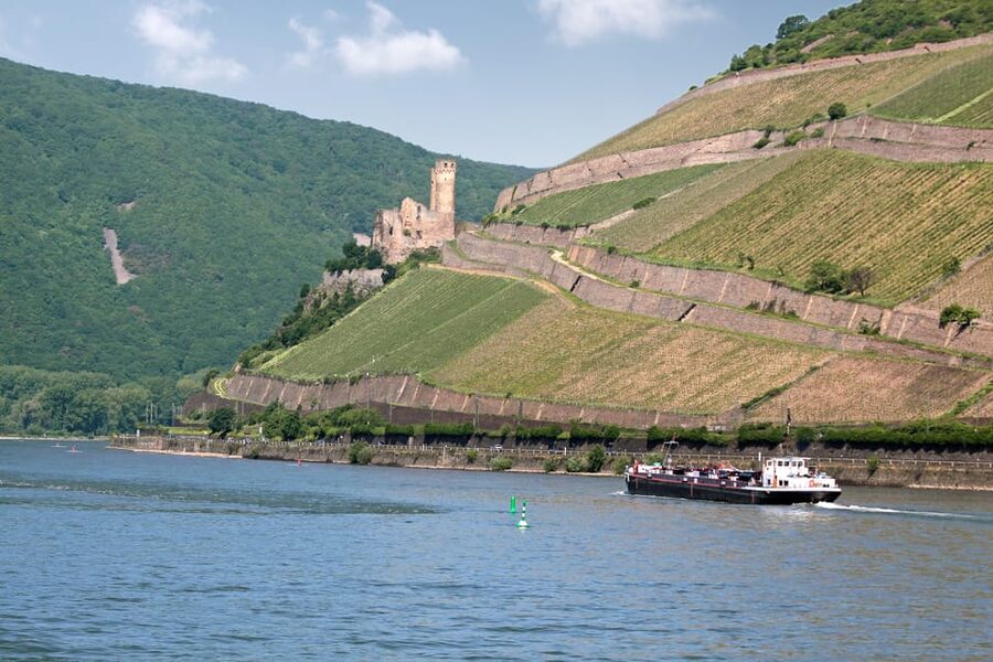 Rhine Valley Castles: 1.5-Hour Boat Tour from Rüdesheim - Commentary, seating, and the best way to see the castles