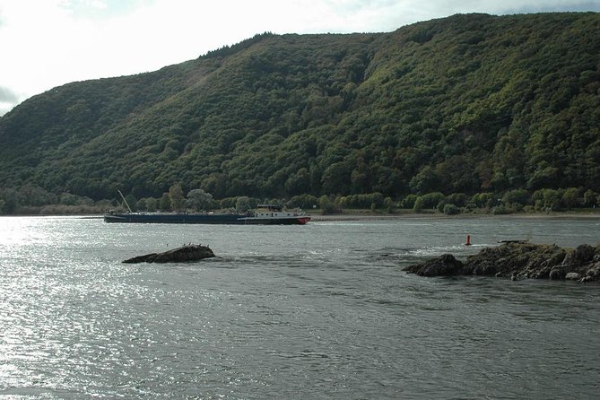 Rhine Valley Trip from Frankfurt including Rhine River Cruise - The half-day tour and late dinner