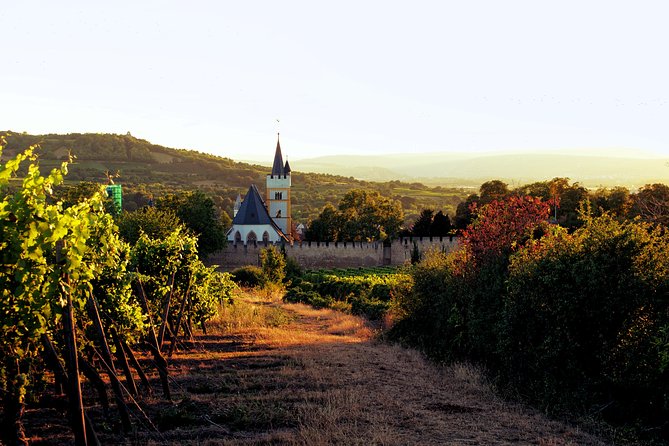 Rhine Valley Wine Tasting Tour from Frankfurt and Mainz - Cellars, owners, and the human side of wine