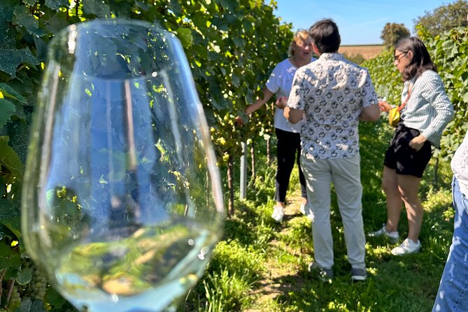 Rhine Valley Wine Tasting Tour from Frankfurt and Mainz - Lunch with cheese, charcuterie, and local wine