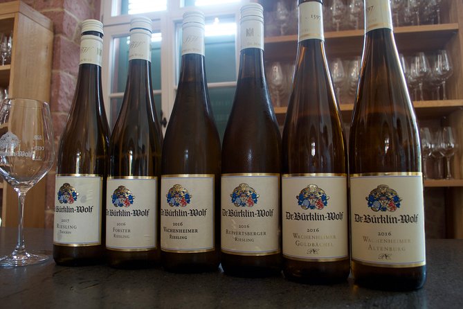 Rhine Valley Wine Tasting Tour from Frankfurt and Mainz - First winery: learn what dry Riesling means