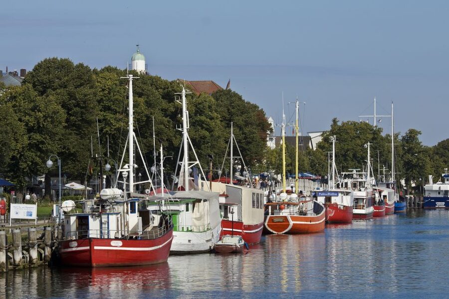 Rostock: Warnemünde and Rostock Half-Day Shore Trip - Riding the train and tram like a local