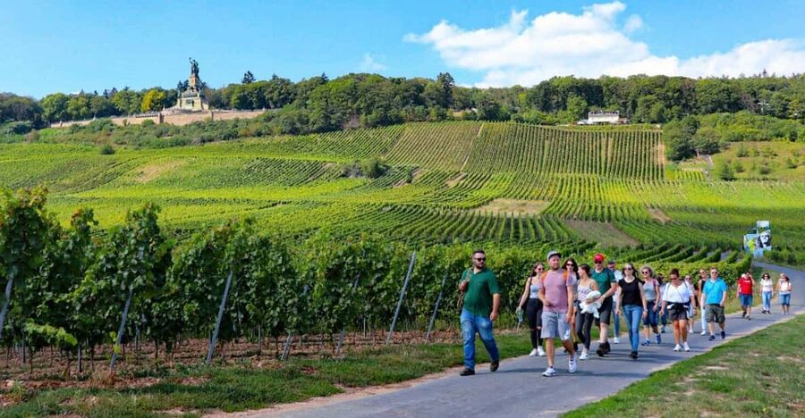 Rüdesheim - Guided wine hikes with 4wines and cable car ride - Starting at Rheinstraße 16 in Rüdesheim