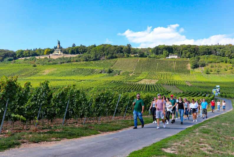 Rüdesheim - Guided wine hikes with 4wines and cable car ride - Tasting Two Wines Along the Three-Kilometer Walk