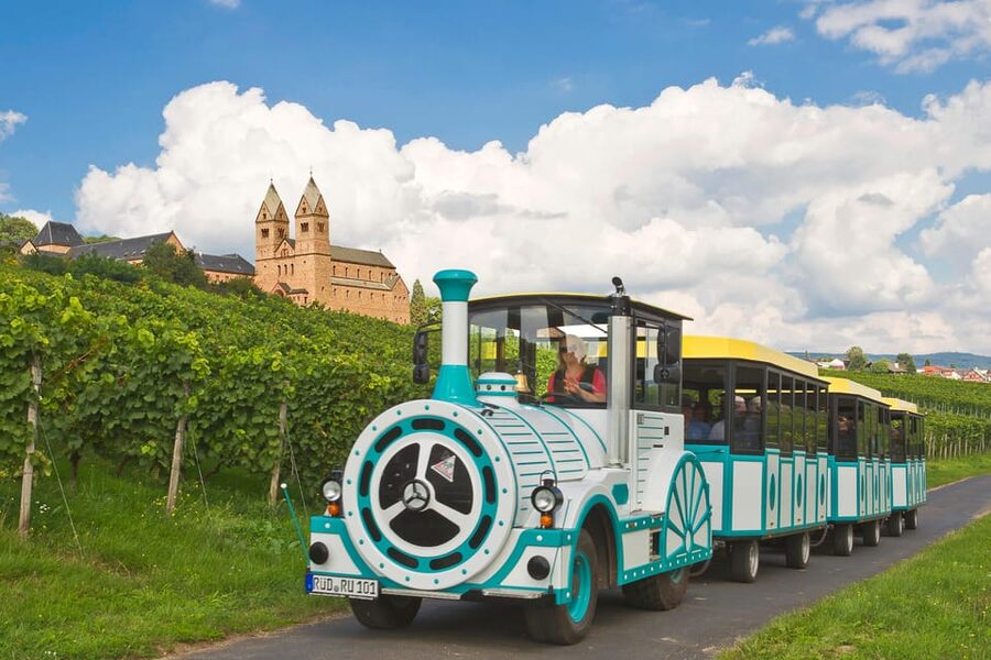 Rüdesheim sightseeing tour with the Winzerexpress - Is $22 a fair price?