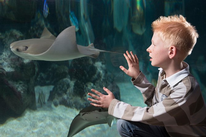 SEA LIFE Hannover Ticket - Timing your one to two hours