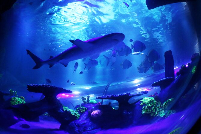 SEA LIFE Konstanz Admission Ticket - Who will enjoy SEA LIFE Konstanz most