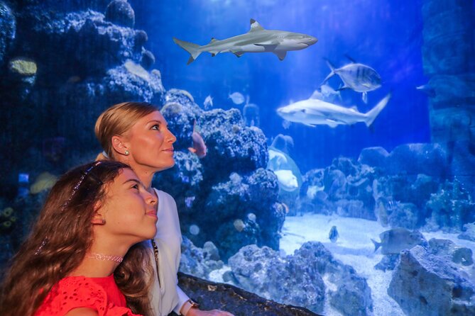 SEA LIFE Munich Admission Ticket - From the Danube Delta to the Atlantic