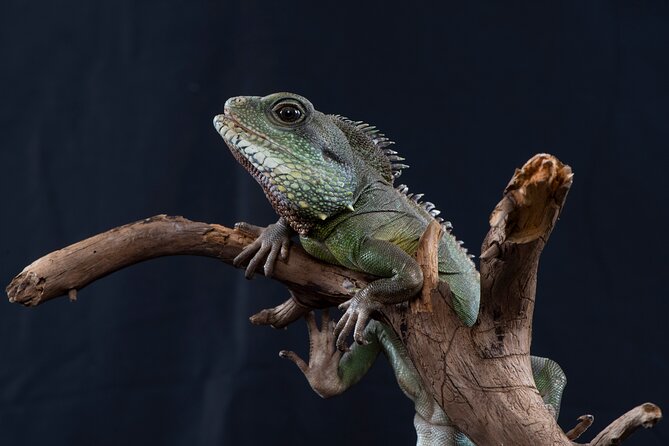 SEA LIFE Munich Admission Ticket - A family attraction with a clear age range