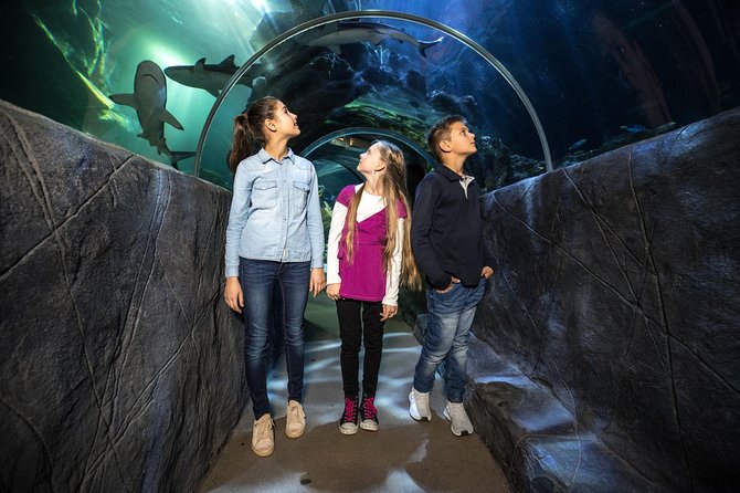 SEA LIFE Munich Admission Ticket - Timing, crowds, and the narrow route