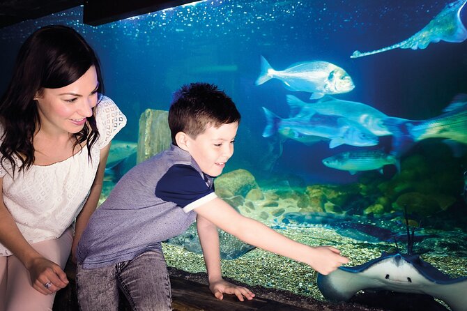 SEA LIFE Munich Admission Ticket - Finding SEA LIFE Munich in Olympic Park