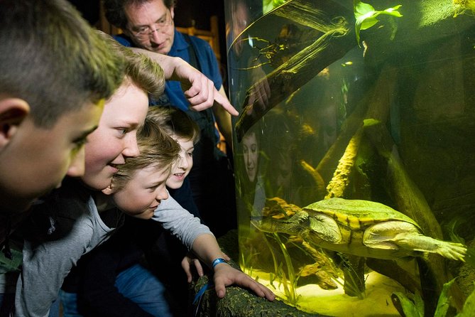 SEA LIFE Munich Admission Ticket - The eight-meter ocean tunnel