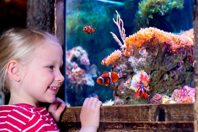SEA LIFE Oberhausen Admission Ticket - What the SEA LIFE Oberhausen visit is really like