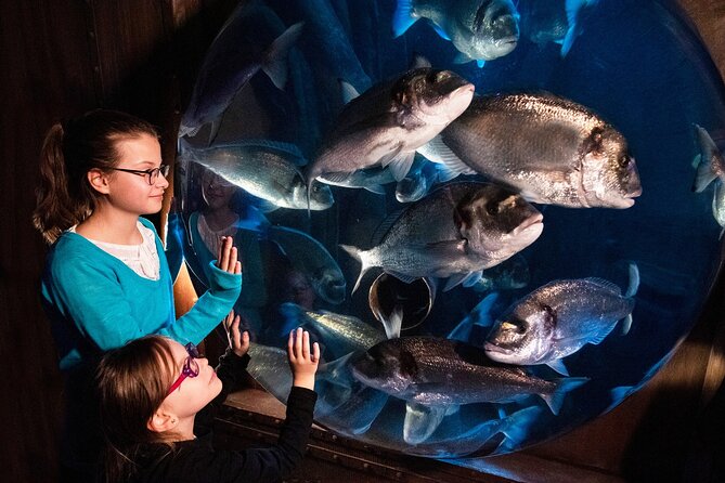 SEA LIFE Speyer Admission Ticket - What your ticket actually gives you
