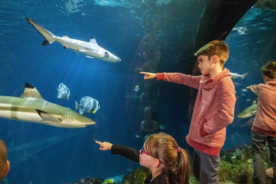 Sea Life Speyer Ticket - Key points to know before you go