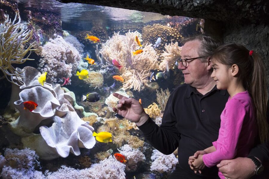 Sea Life Speyer Ticket - The Amazon area and changing habitats