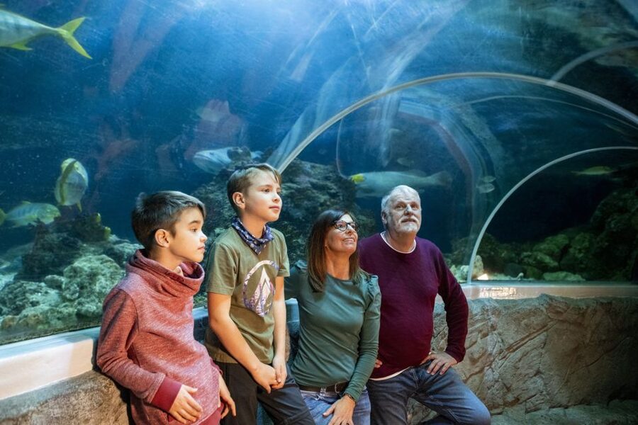 Sea Life Speyer Ticket - Getting to Im Hafenbecken 5