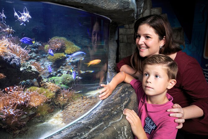 SEA LIFE Timmendorfer Strand Admission Ticket - The rainforest section: otters, snakes, and piranhas